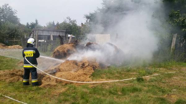 IMG-20160727-WA0000.jpg, 